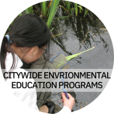 Citywide Environmental Education Programs - Photo: A young child crouched down, looking at a lake intently with a small net in hand.