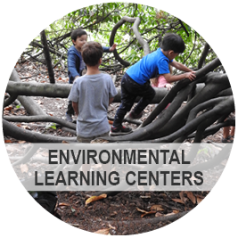 Environmental Learning Center (ELC) - Photo: Children climbing on the exposed roots of a tree in a park