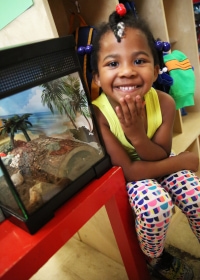 Preschool child sitting next to aquarium tank at Jefferson Community Center